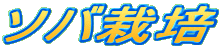 \o͔|